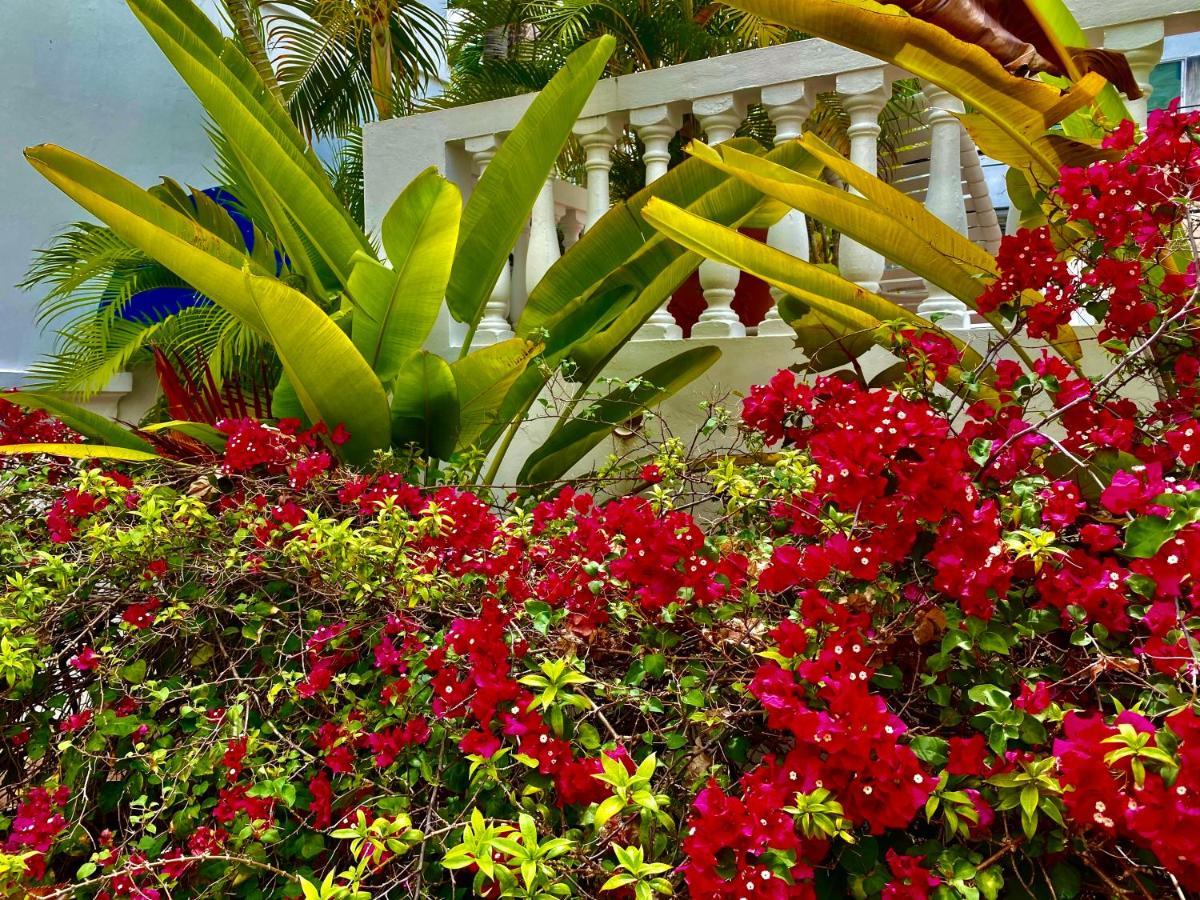 At Wind Chimes Boutique Hotel Сан-Хуан Экстерьер фото